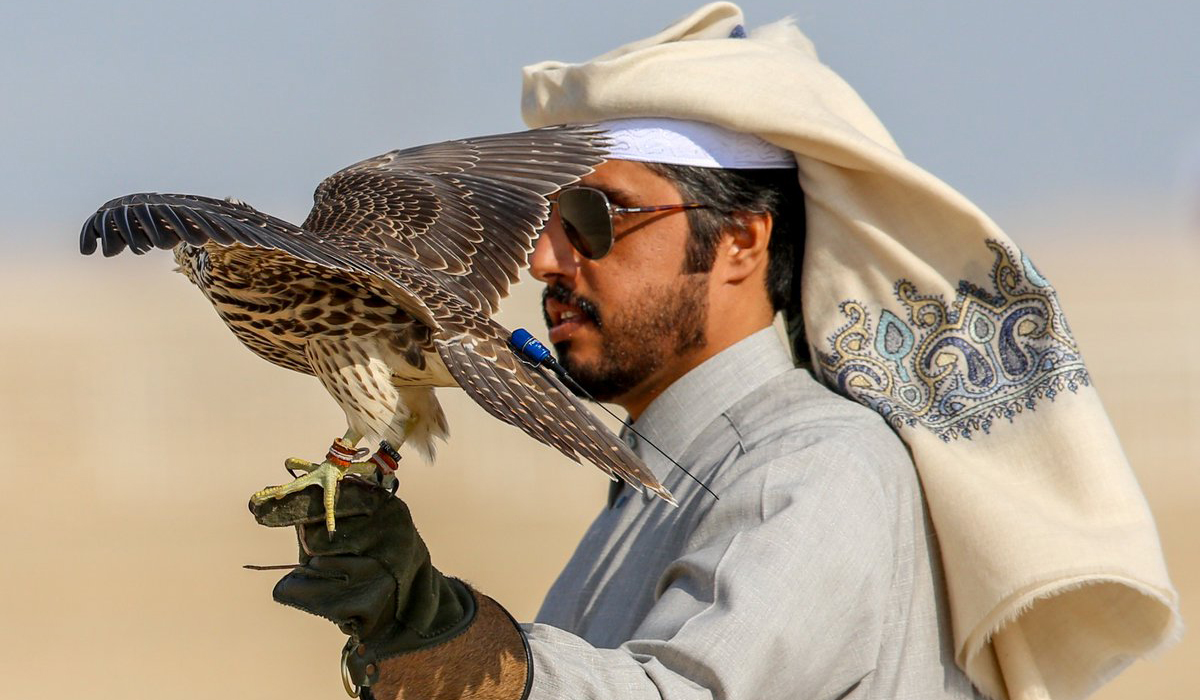 14th Edition of Qatar International Falcons and Hunting Festival (Marmi 2023) Kicks Off